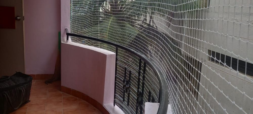 Pigeon Safety Nets in Bangalore | Pigeon Nets for Balcony. Pigeon Safety Nets Installation in Bangalore | Longlasting Netting